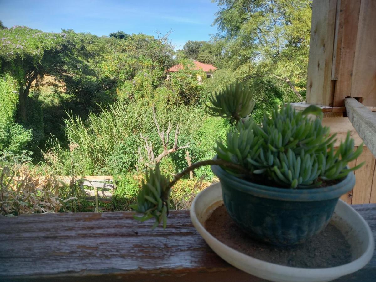 Emmy'S Backpackers Hostel Iringa Dış mekan fotoğraf